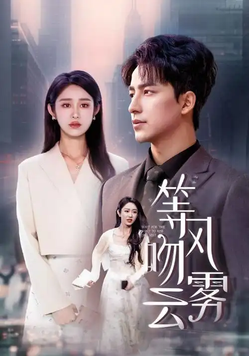 电视剧《玫瑰之路》海报